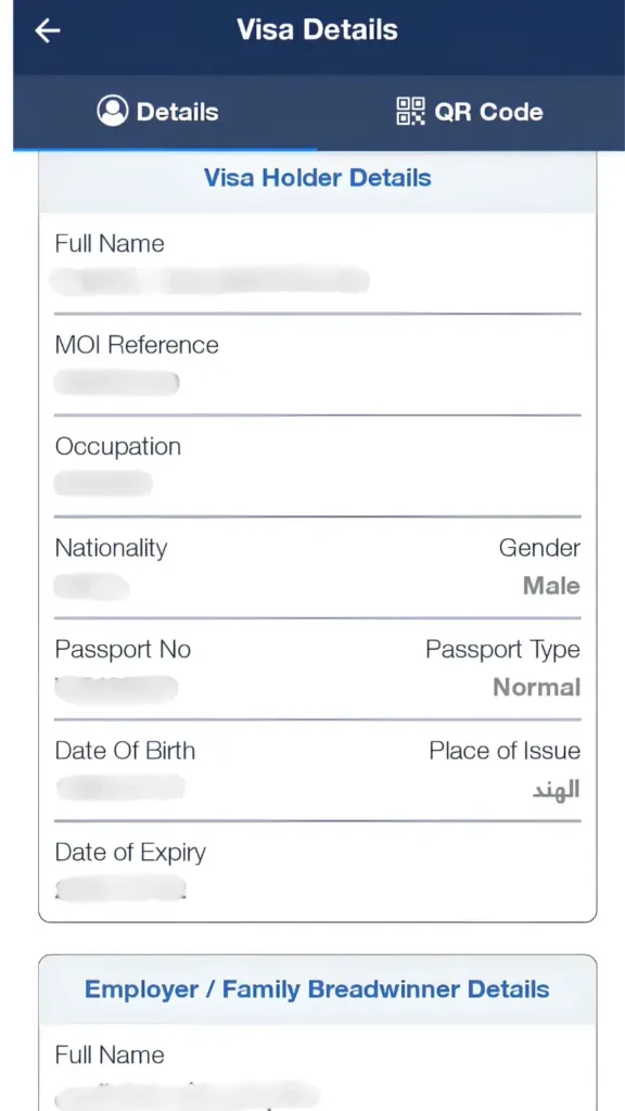 review-your-visa-status-and-details 
